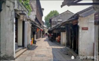 小猫钓鱼正版下载中文版